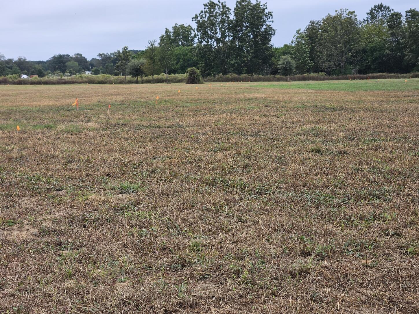 0 Tee Vee Road Elloree, SC 29047 - Photo 5 of 19 RV2