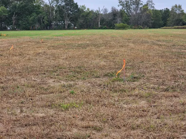 $900,000 | 0 Tee Vee Road, Elloree, SC 29047