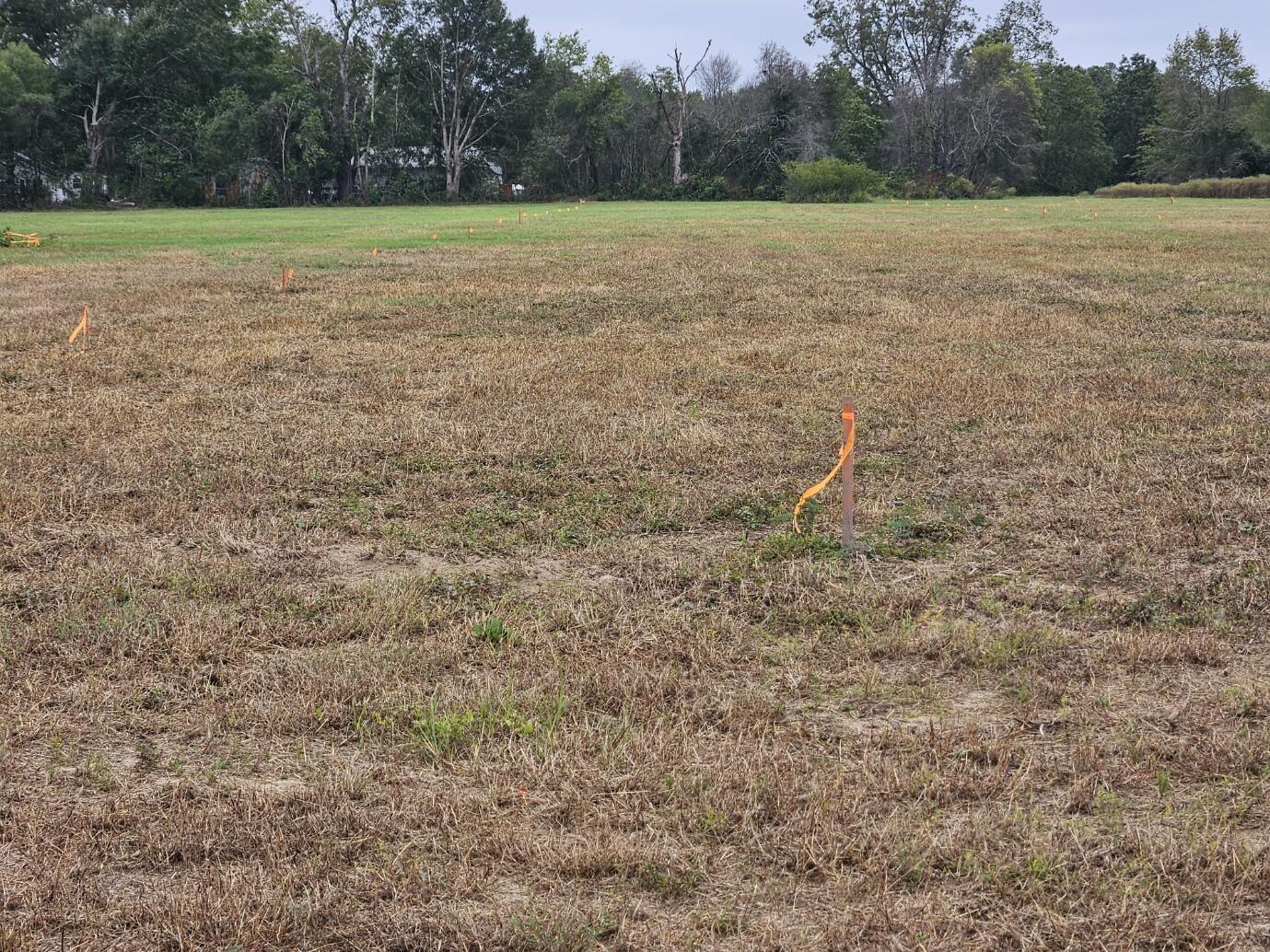 0 Tee Vee Road Elloree, SC 29047 - Photo 6 of 19 RV3