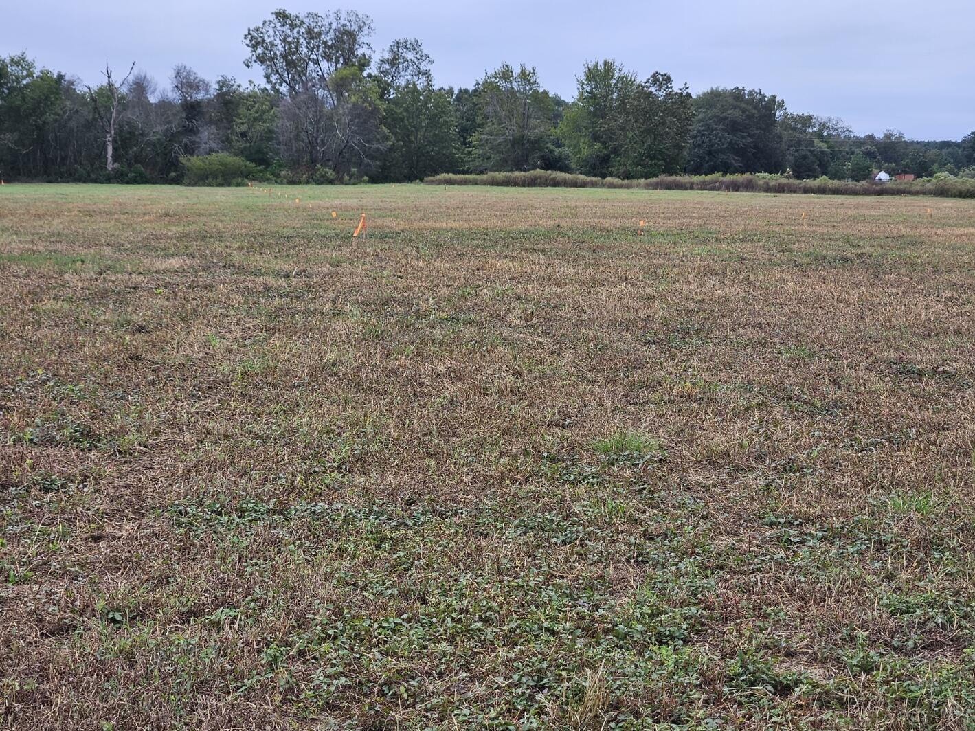 0 Tee Vee Road Elloree, SC 29047 - Photo 7 of 19 RV4