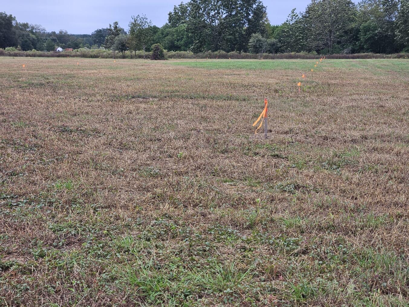 0 Tee Vee Road Elloree, SC 29047 - Photo 8 of 19 RV5