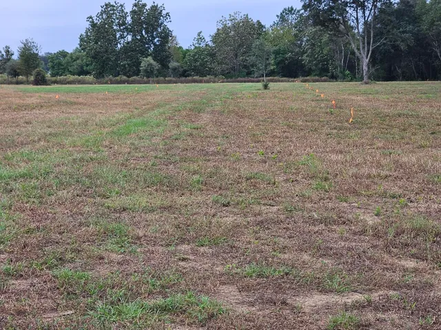 $900,000 | 0 Tee Vee Road, Elloree, SC 29047