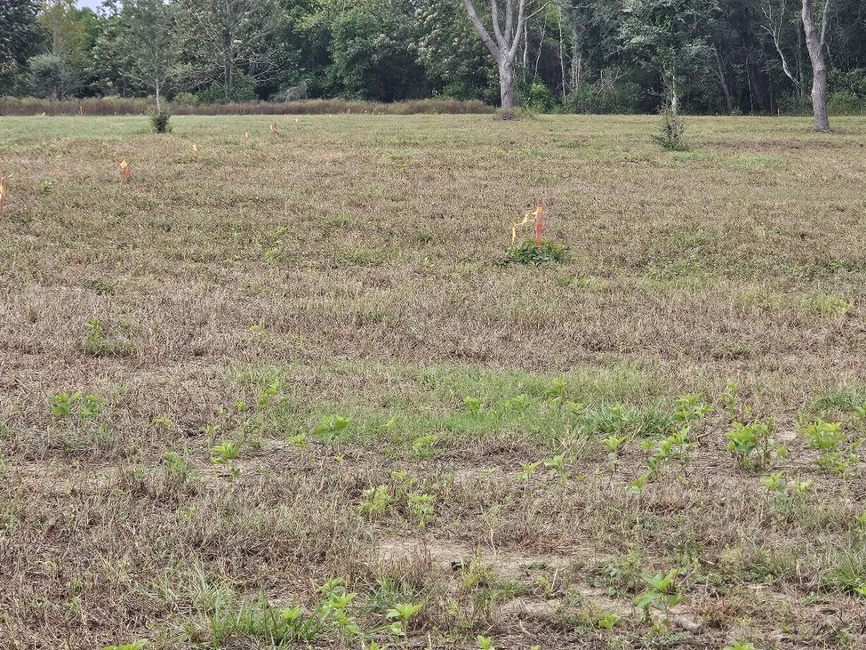 0 Tee Vee Road Elloree, SC 29047 - Photo 10 of 19 RV7