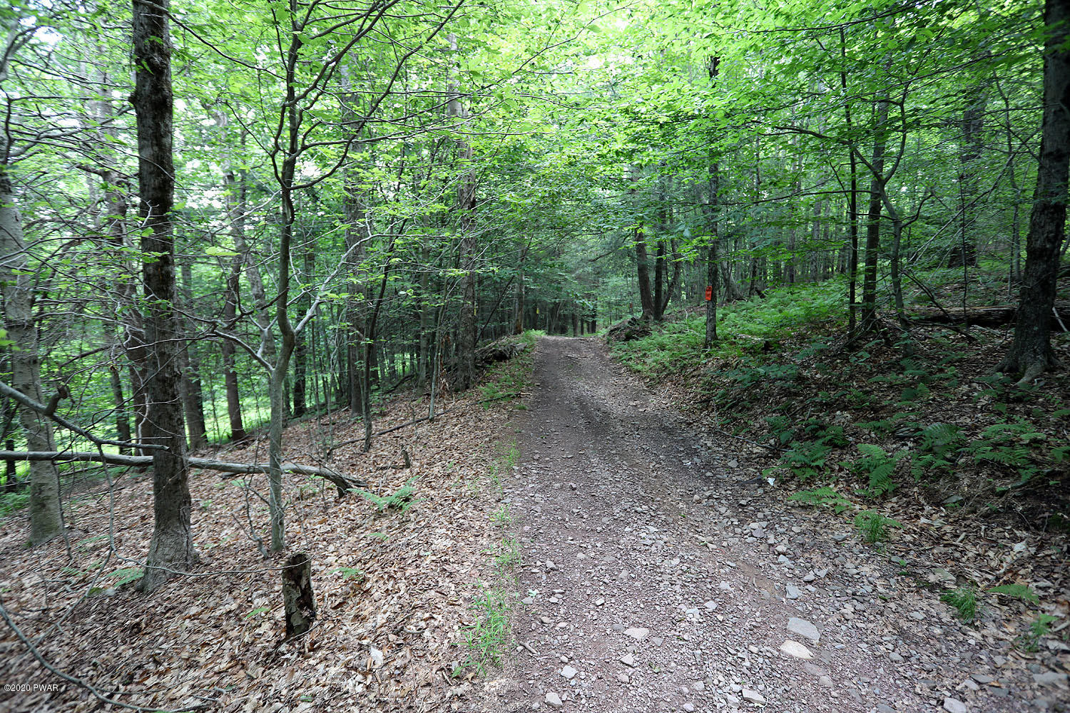 0 Minckler Mountain Road Equinunk, PA 18417 - Photo 21 of 39
