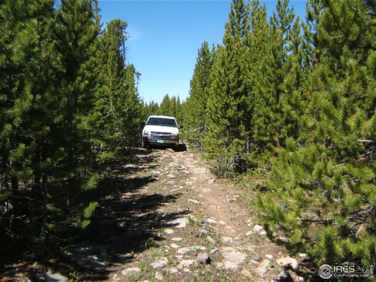 0 Picnic Pass Road Red Feather Lakes, CO 80545 - Photo 3 of 7 Access Rd.