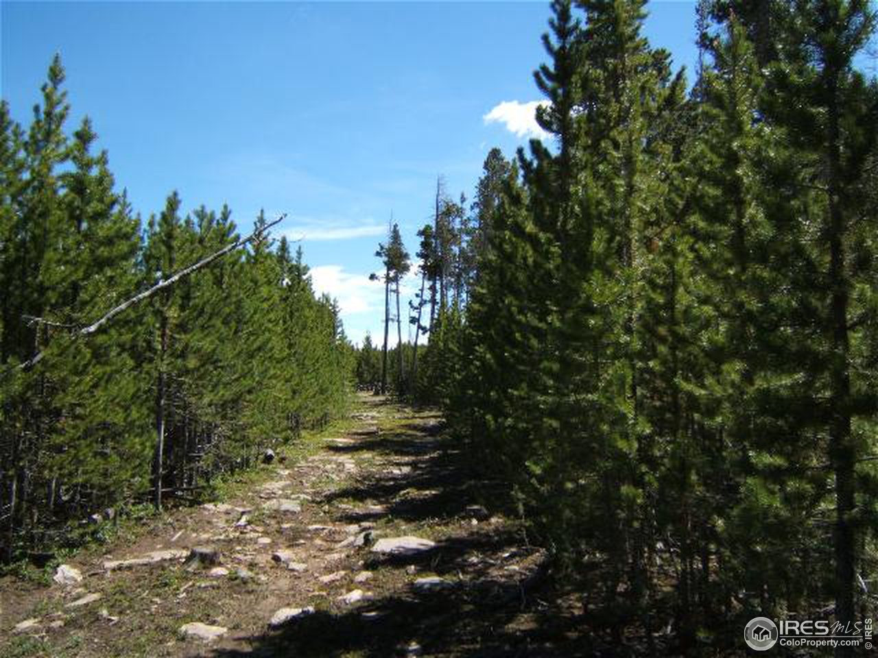 0 Picnic Pass Road Red Feather Lakes, CO 80545 - Photo 4 of 7 Access
