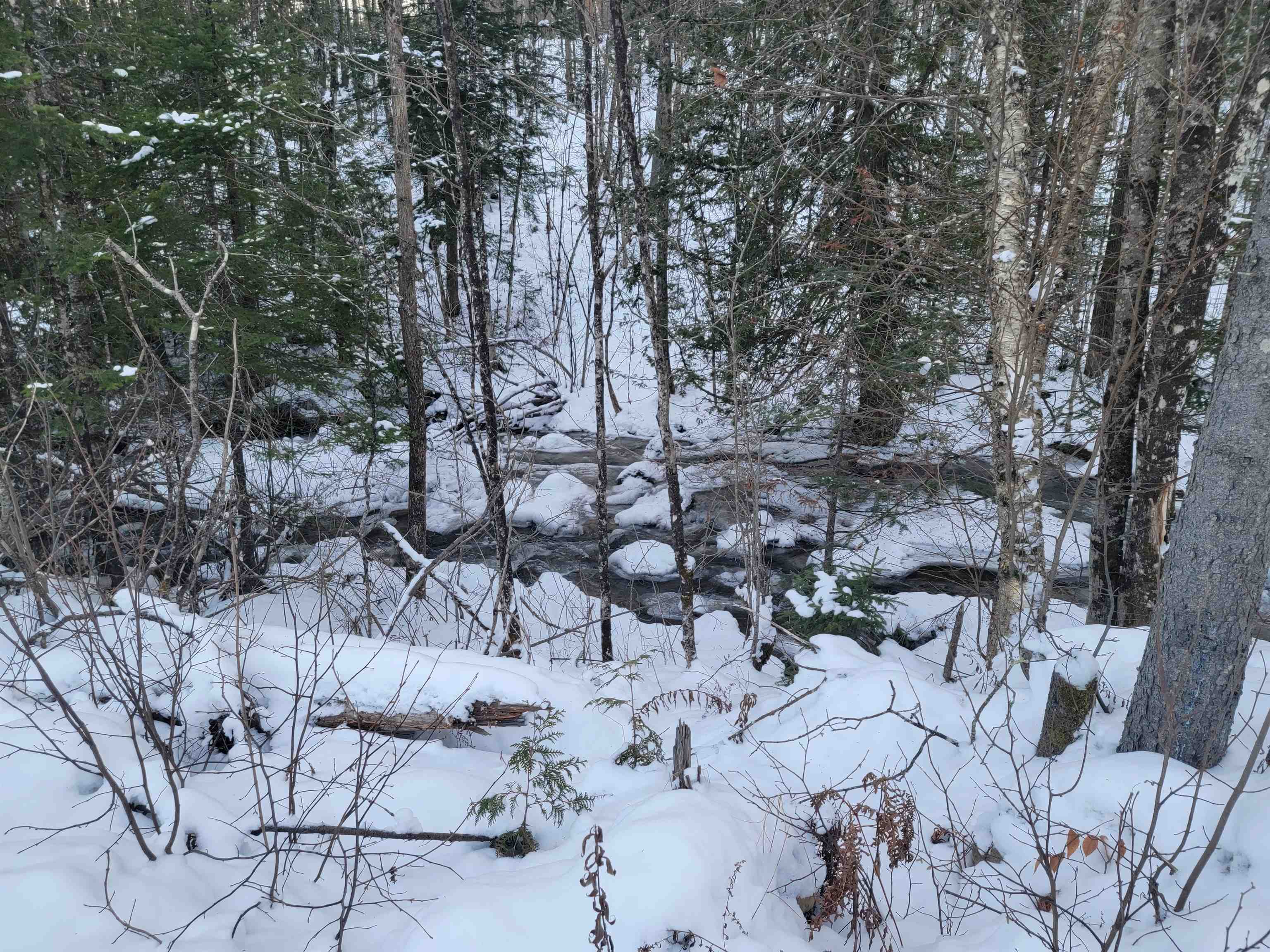 348 Willey Hill Road Topsham, VT 05076 - Photo 3 of 9