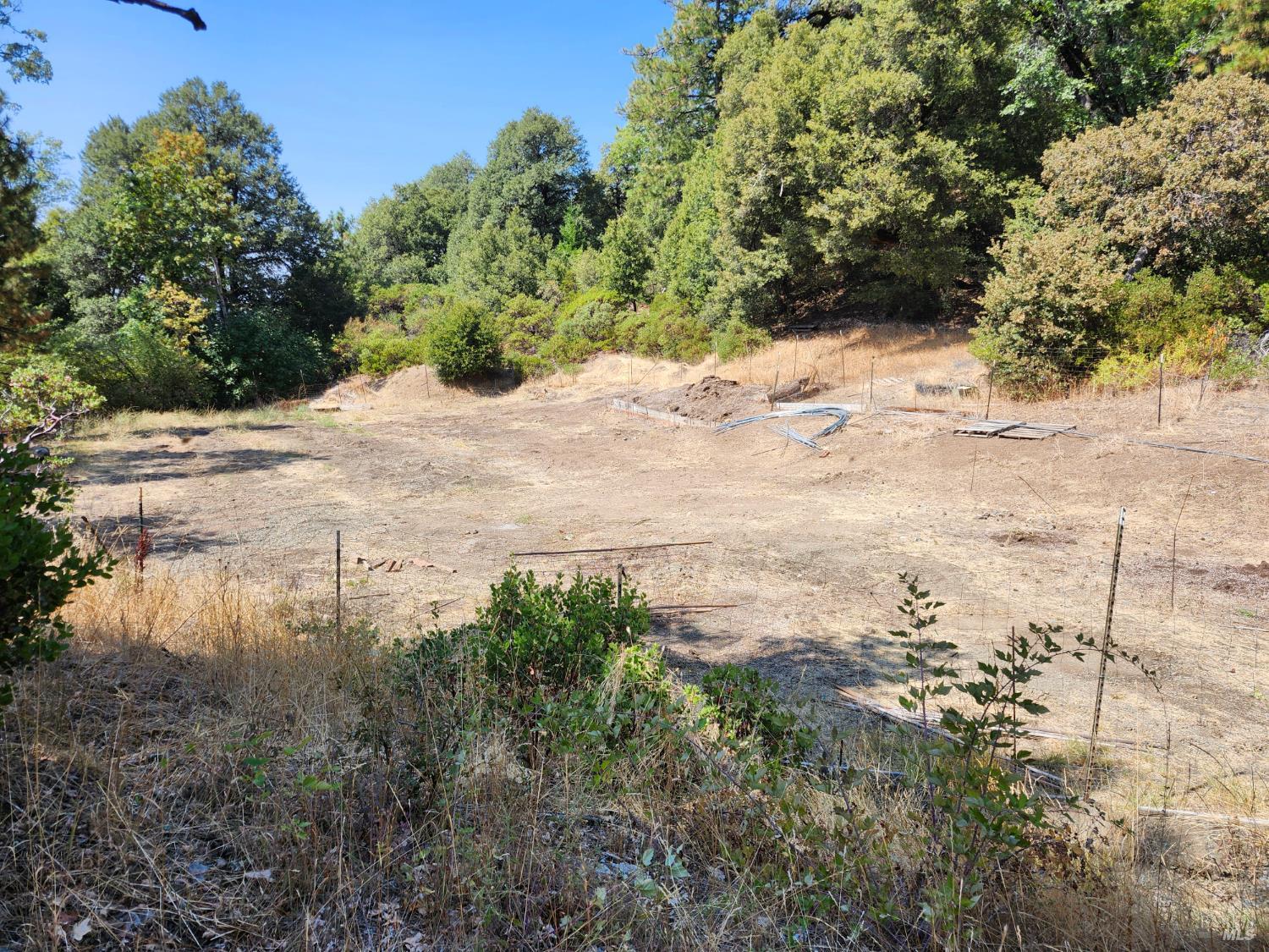 5635 Iron Peak Road Laytonville, CA 95454 - Photo 5 of 15 a view of a yard with snow on the road
