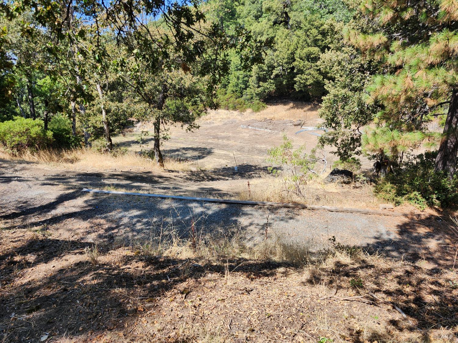 5635 Iron Peak Road Laytonville, CA 95454 - Photo 7 of 15 a view of a yard with trees