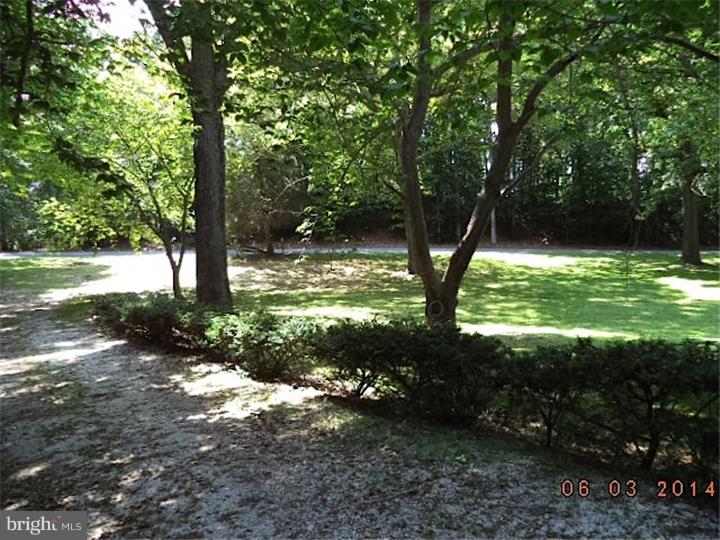 182 Davis Mill Road Greenwich, NJ 08323 - Photo 3 of 25 Driveway