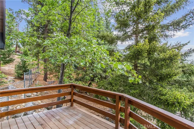 a view of a pathway of a garden