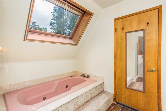 a view of a backyard with plants and trees