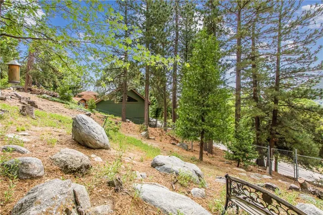 a backyard of a house with a large tree