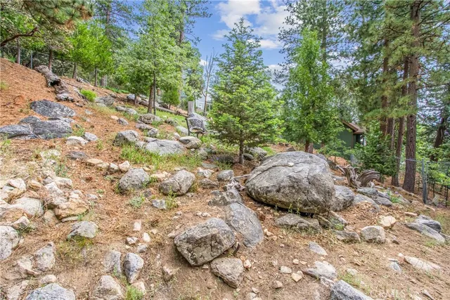 a backyard of a house with lots of green space