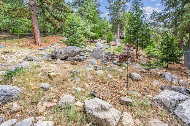 a plant is in front of a tree