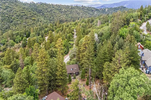 a view of a lush green forest