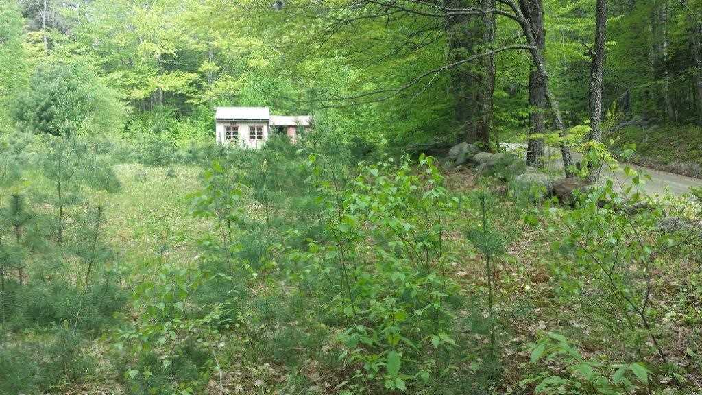2380 East Rumney Road Rumney, NH 03266 - Photo 1 of 3