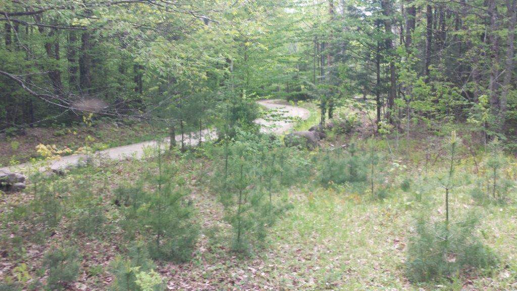 2380 East Rumney Road Rumney, NH 03266 - Photo 3 of 3