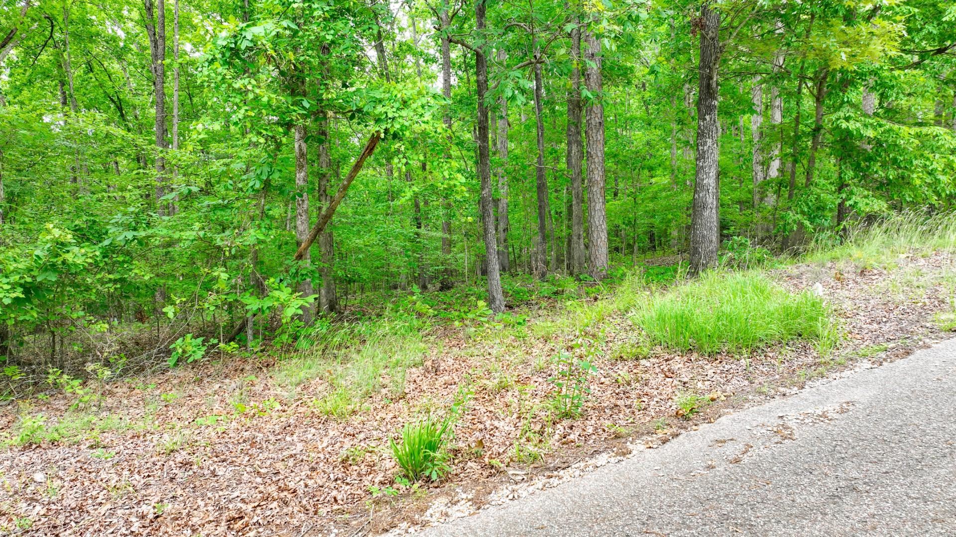 74 Backwoods Loop Counce, TN 38326 - Photo 11 of 38 a view of a garden with plants and large trees