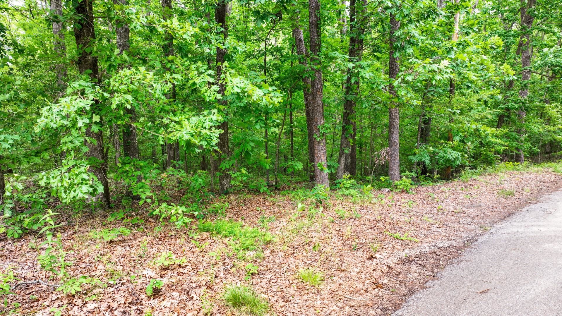 74 Backwoods Loop Counce, TN 38326 - Photo 13 of 38 a backyard of a house with lots of green space