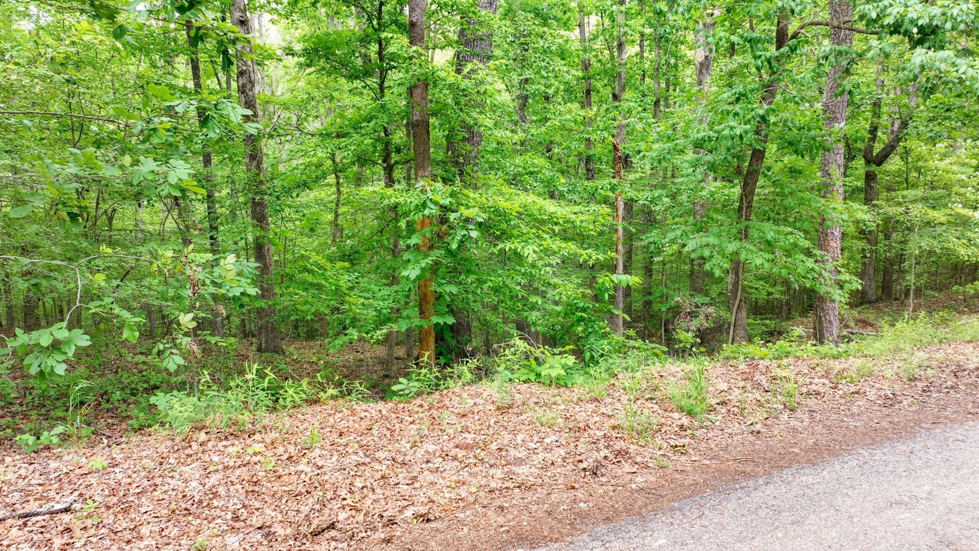 74 Backwoods Loop Counce, TN 38326 - Photo 14 of 38 a backyard of a house with lots of green space and garden