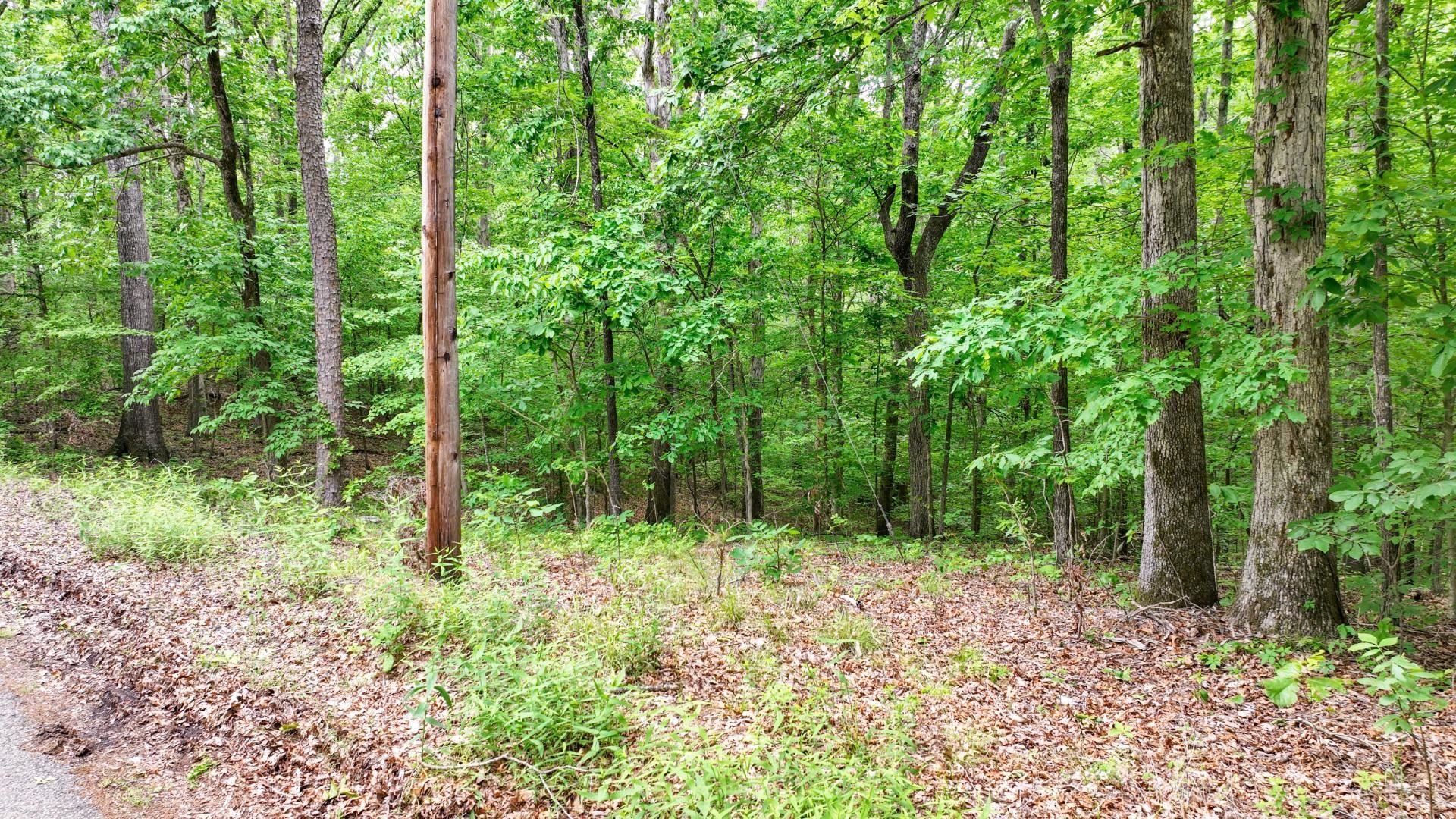 74 Backwoods Loop Counce, TN 38326 - Photo 16 of 38 a view of outdoor space and green space