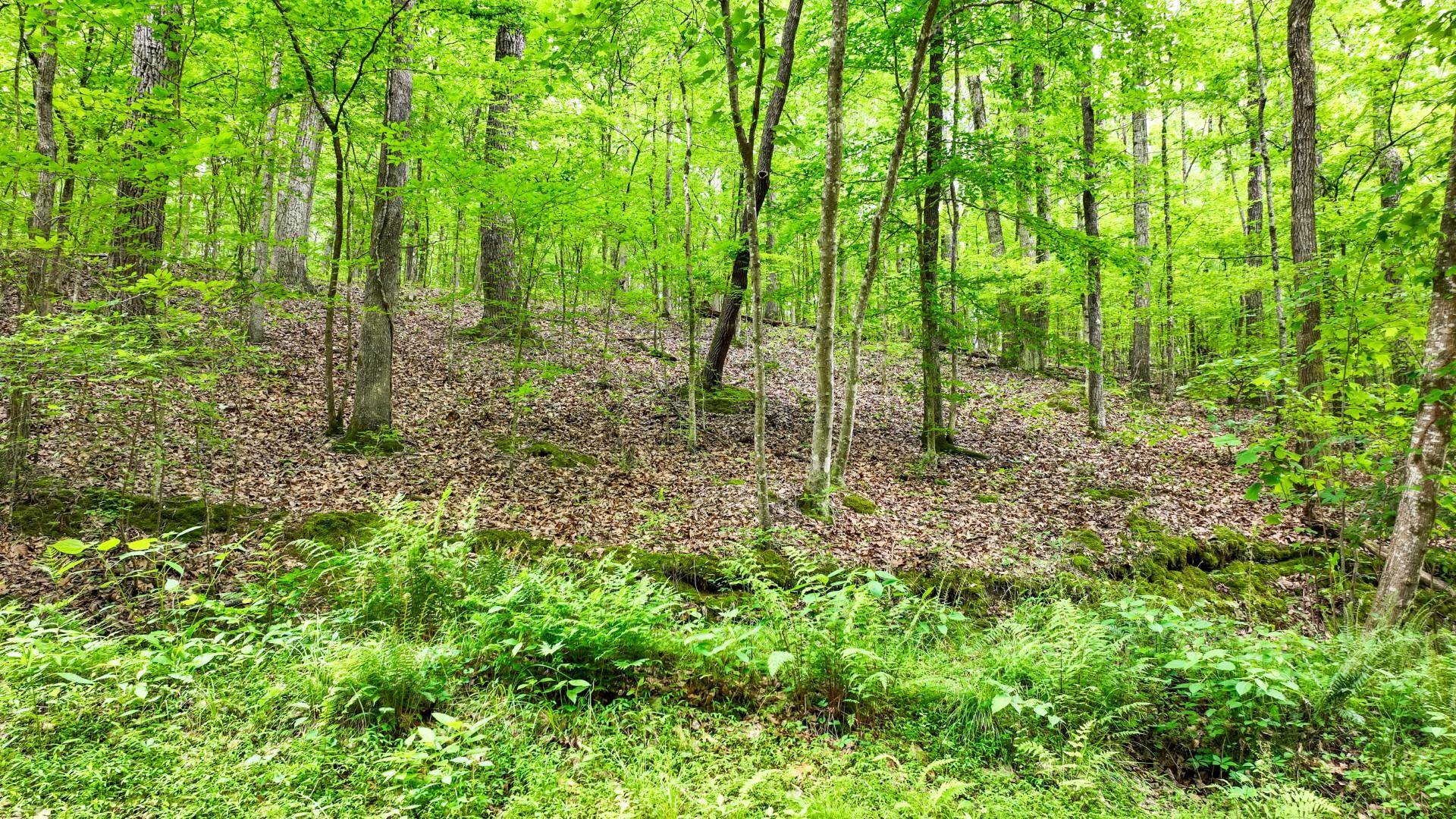 74 Backwoods Loop Counce, TN 38326 - Photo 22 of 38