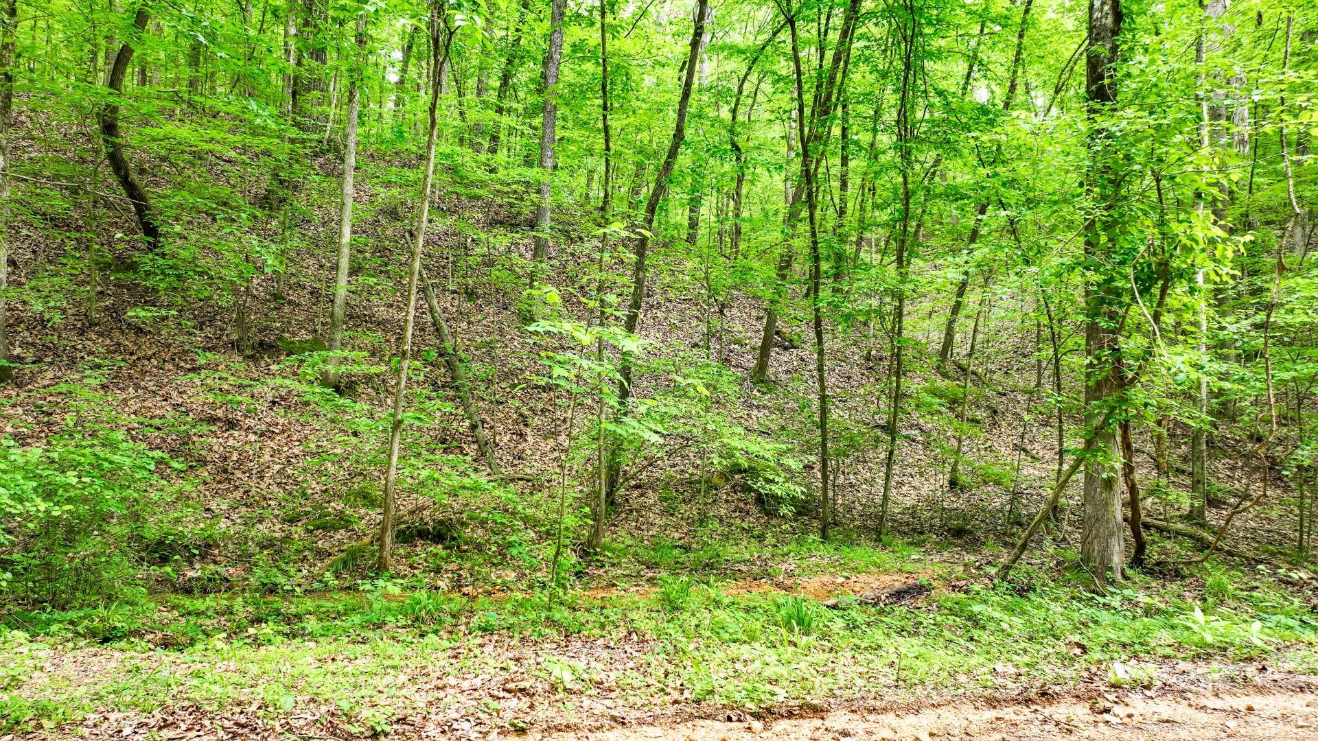 74 Backwoods Loop Counce, TN 38326 - Photo 26 of 38 a view of a garden