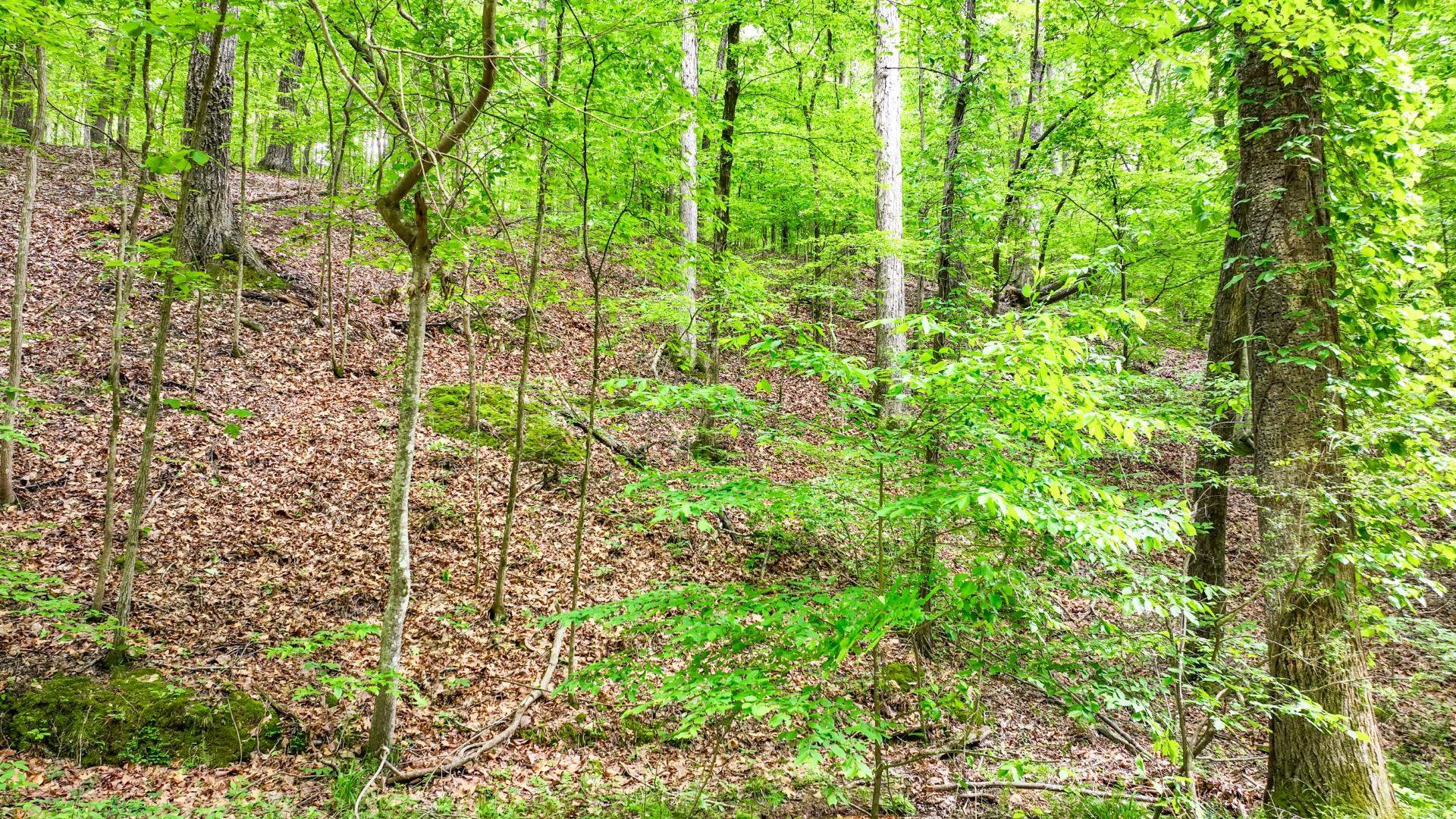 74 Backwoods Loop Counce, TN 38326 - Photo 35 of 38 a view of a garden