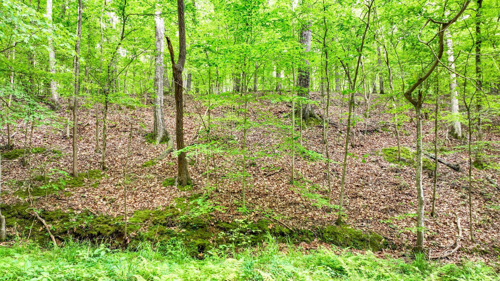 74 Backwoods Loop Counce, TN 38326 - Photo 36 of 38