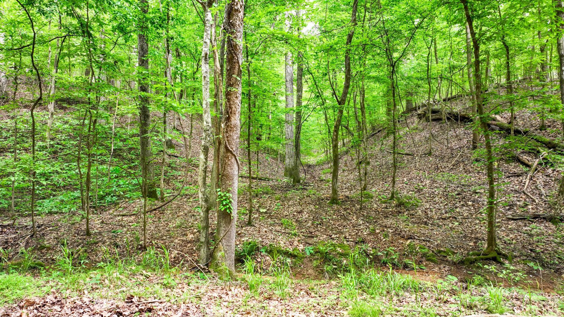 74 Backwoods Loop Counce, TN 38326 - Photo 38 of 38