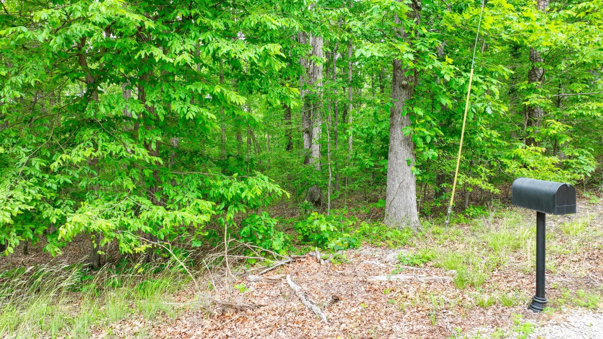 74 Backwoods Loop Counce, TN 38326 - Photo 6 of 38 a view of a garden with plants and a bench