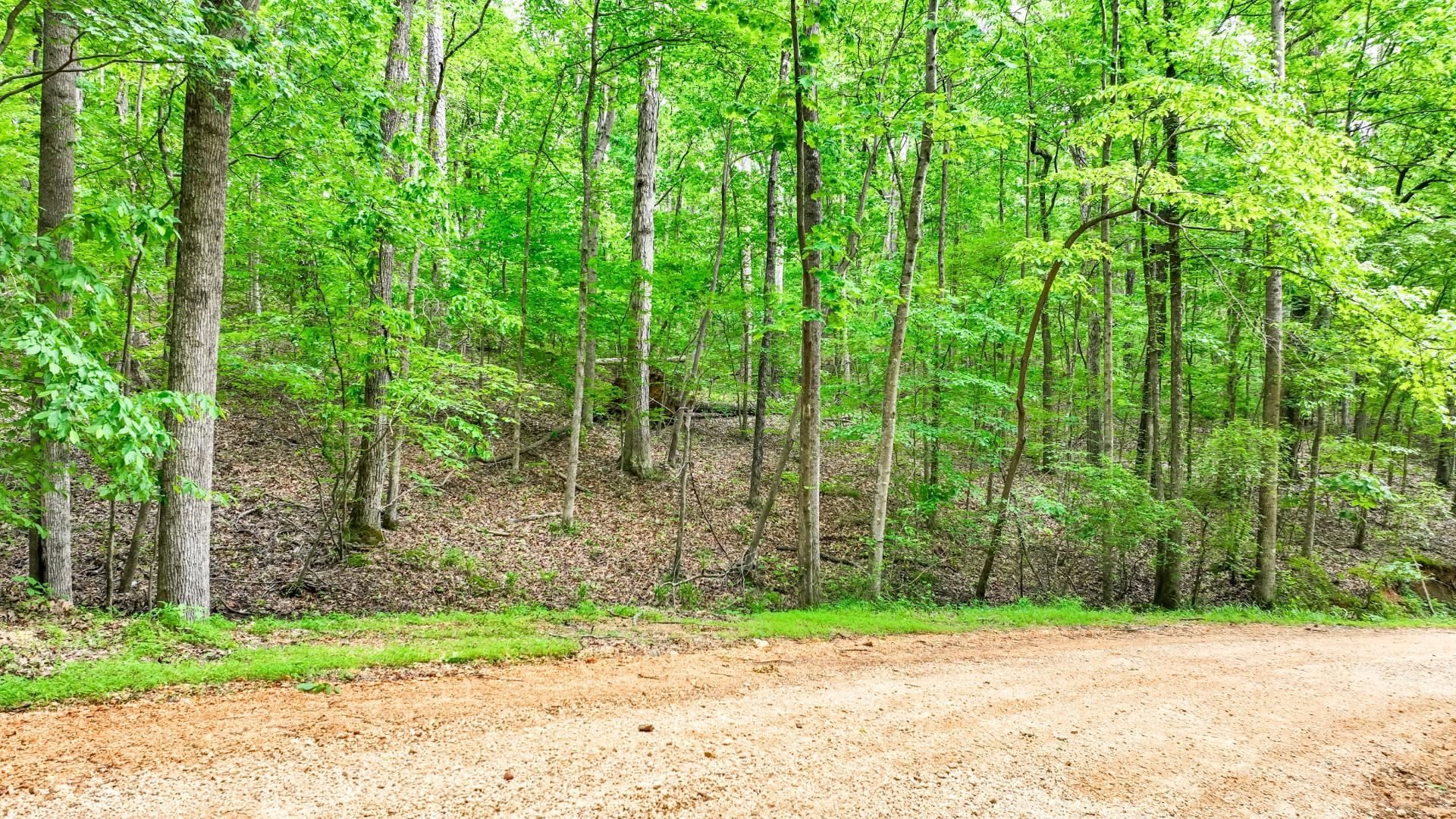 74 Backwoods Loop Counce, TN 38326 - Photo 8 of 38 a view of a backyard with plants and trees