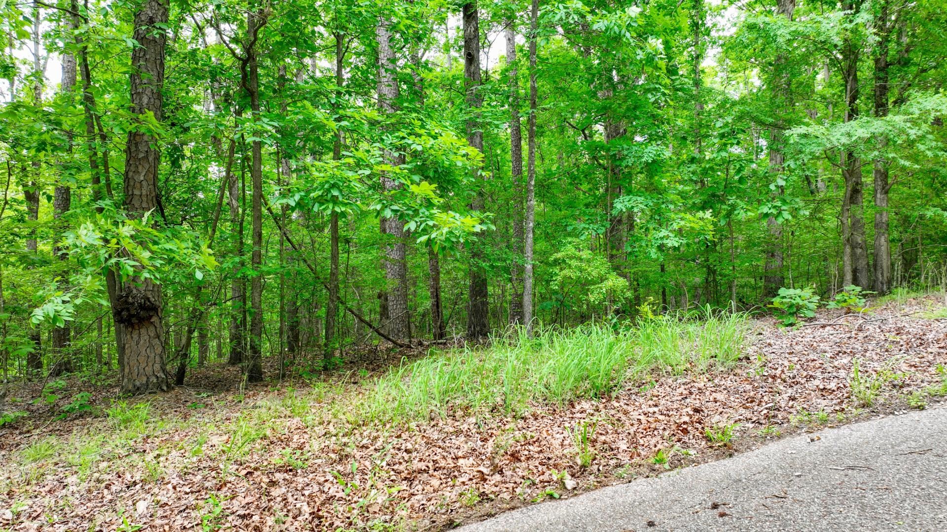 74 Backwoods Loop Counce, TN 38326 - Photo 10 of 38 a backyard of a house with lots of green space