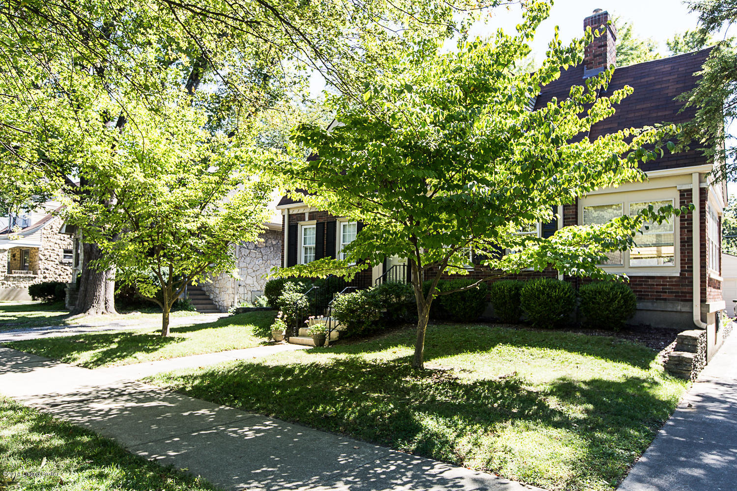 3604 Lexington Road Louisville, KY 40207 - Photo 36 of 52 RAN_4190