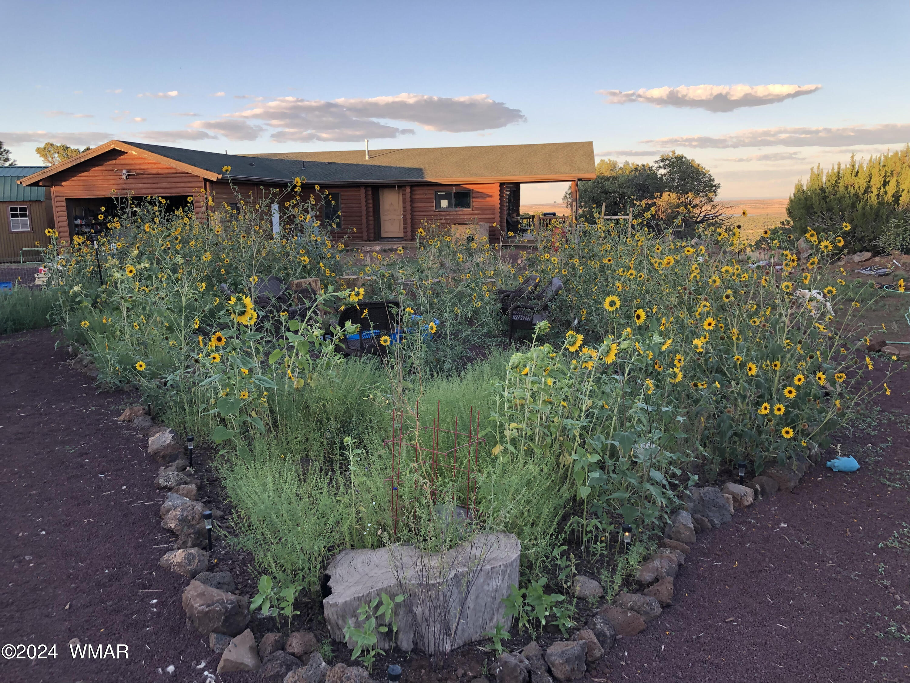 41 County Road Concho, AZ 85924 - Photo 20 of 40