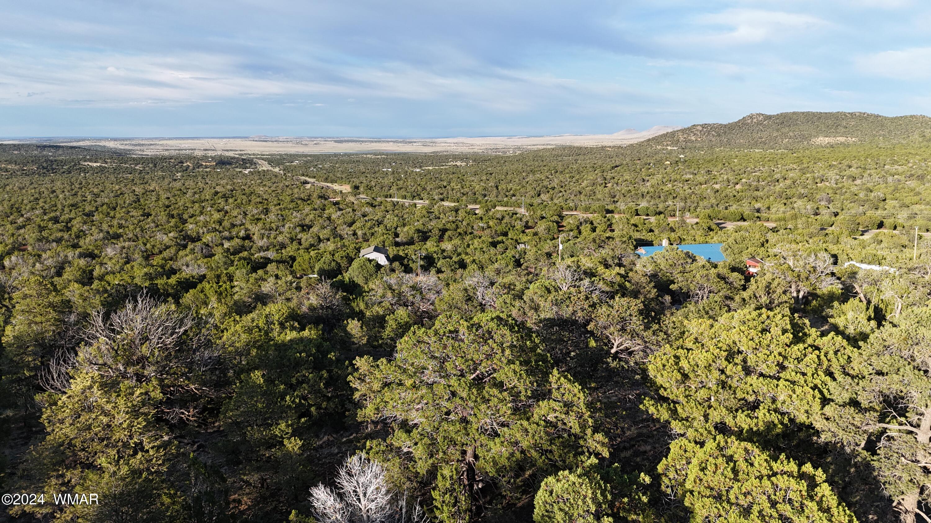 41 County Road Concho, AZ 85924 - Photo 6 of 40