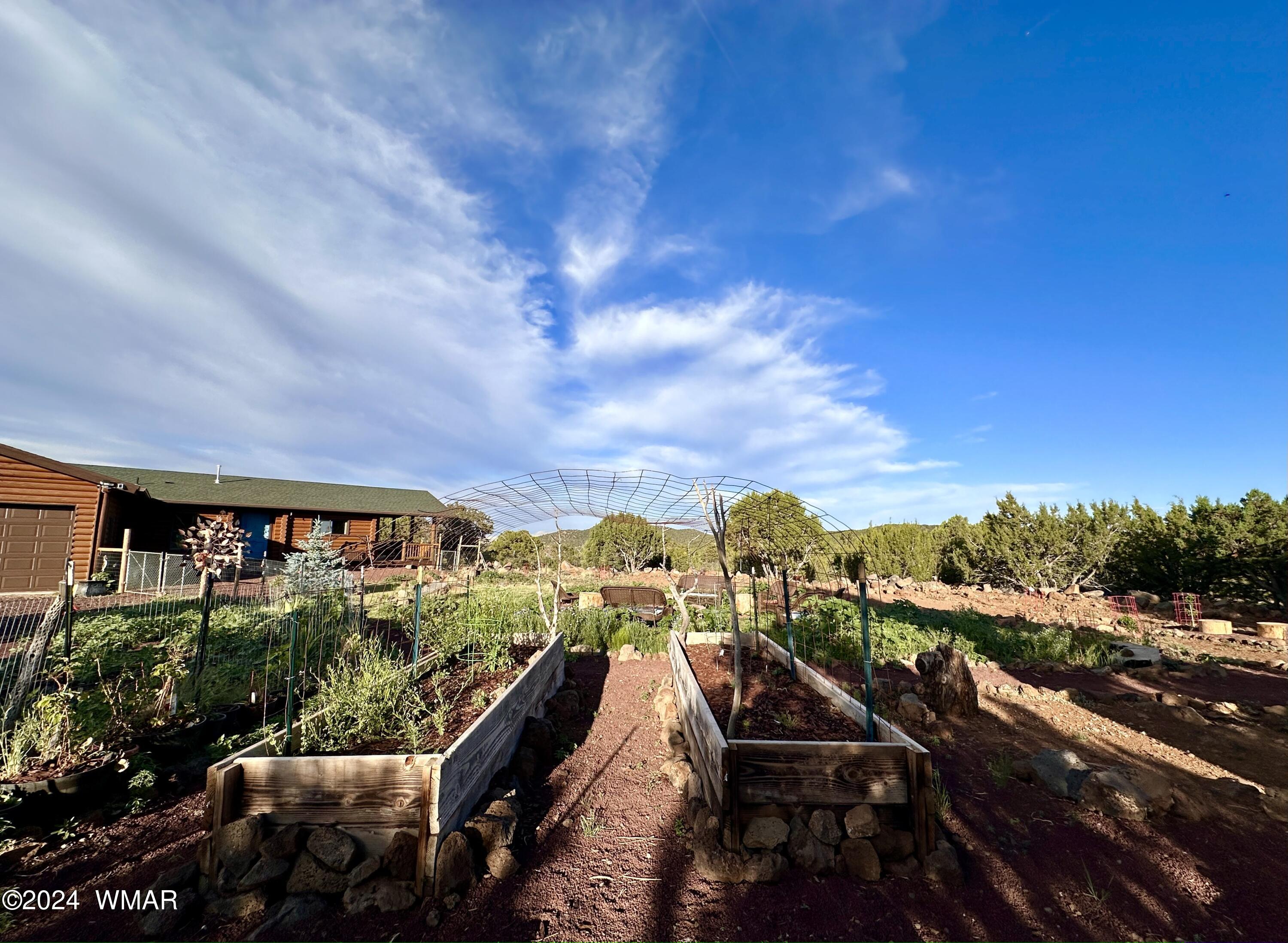 41 County Road Concho, AZ 85924 - Photo 8 of 40
