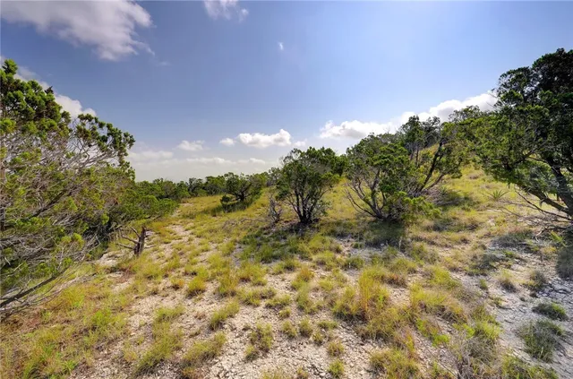 a view of a yard with an trees