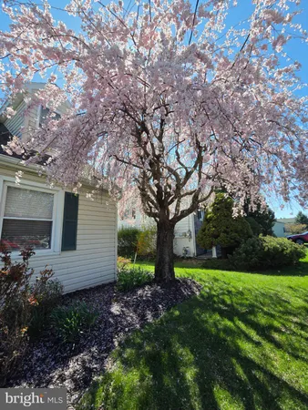 a view of a house with yard and tree s