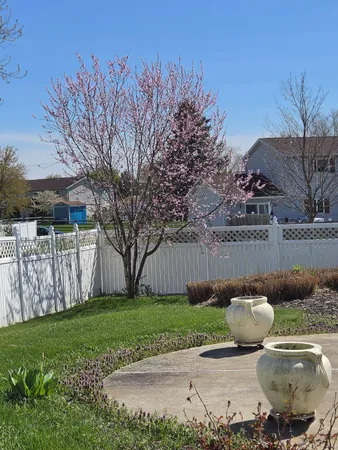 a view of a backyard with table and chairs potted plants and large tree