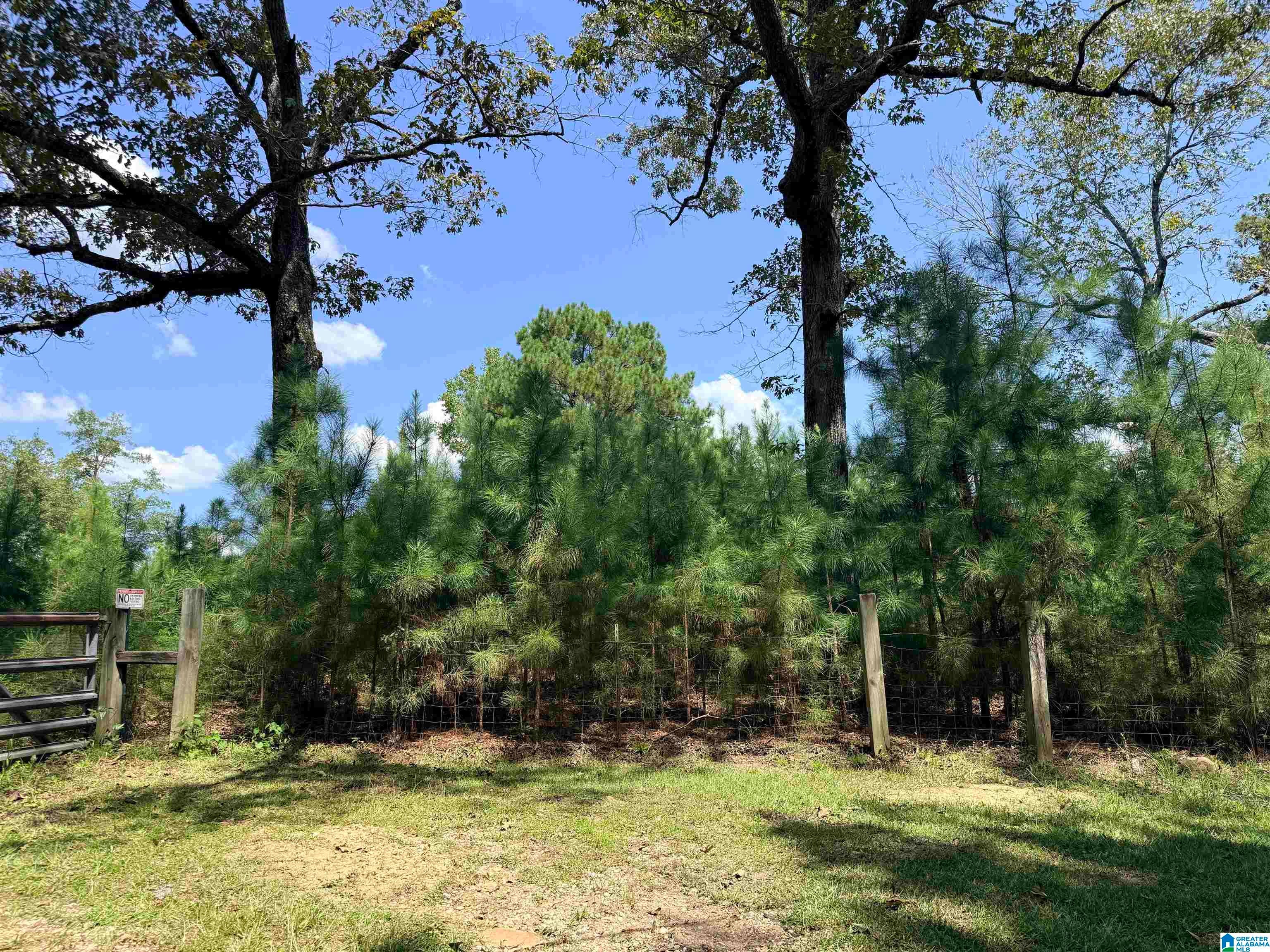 0 Rockyview Road West Blocton, AL 35184 - Photo 20 of 23 Gallery Image 20
