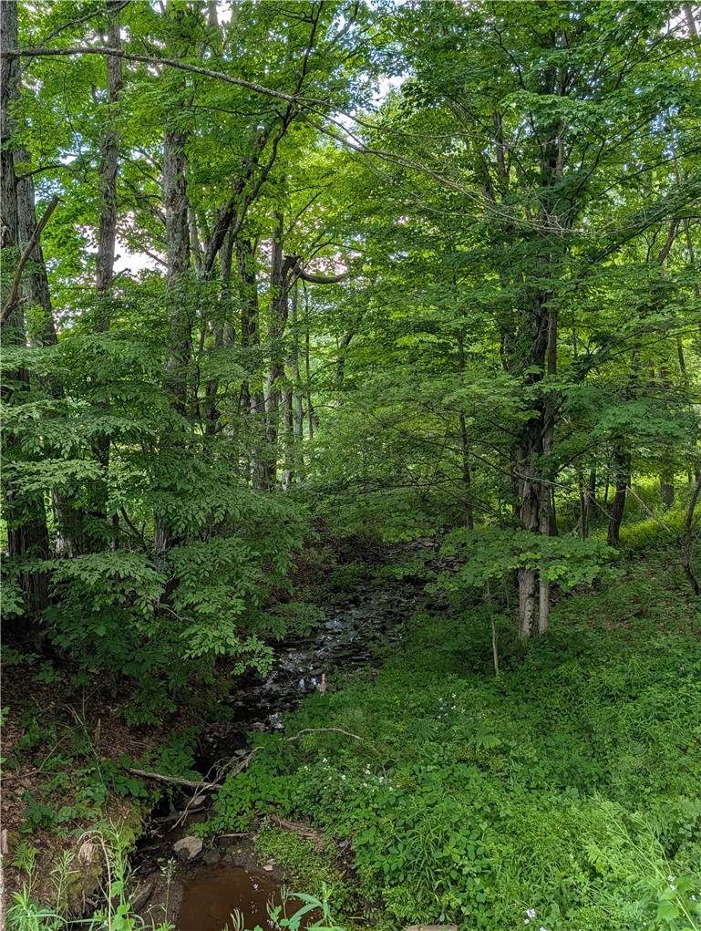 Case Road Bainbridge, NY 13733 - Photo 3 of 13