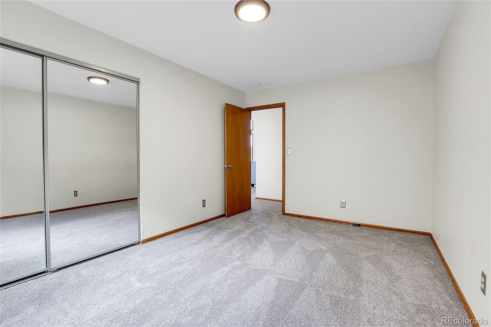 11333 Conifer Mountain Road Conifer, CO 80433 - Photo 34 of 50 an empty room with closet and mirror