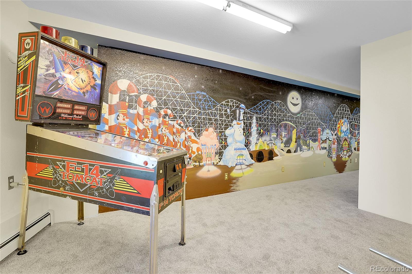 11333 Conifer Mountain Road Conifer, CO 80433 - Photo 40 of 50