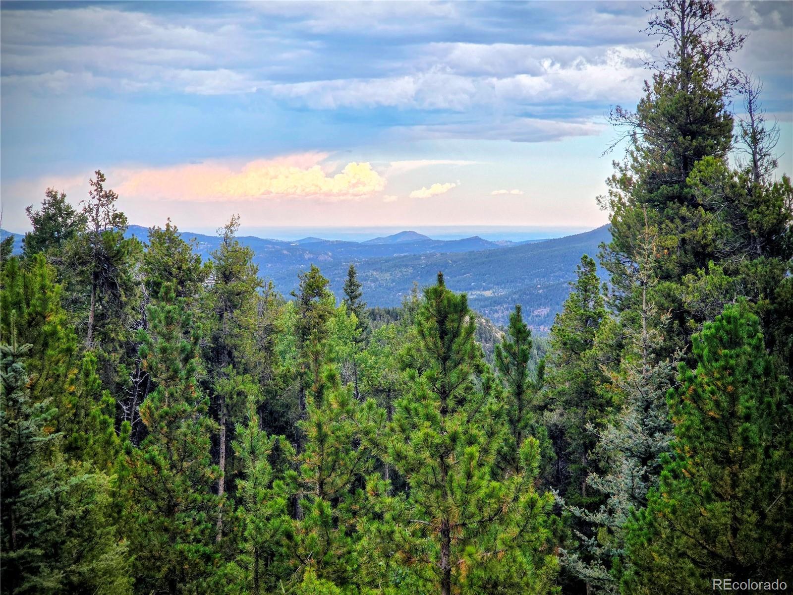 11333 Conifer Mountain Road Conifer, CO 80433 - Photo 4 of 50 an aerial view of a houses with a yard