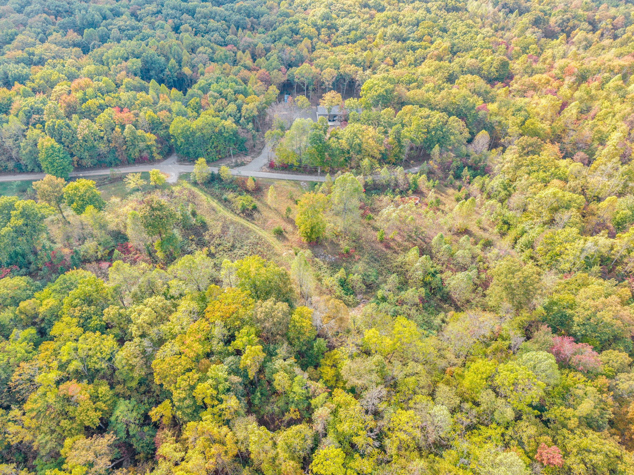 202 Sells Cemetery Road Wilder, TN 38589 - Photo 2 of 10 a view of a yard