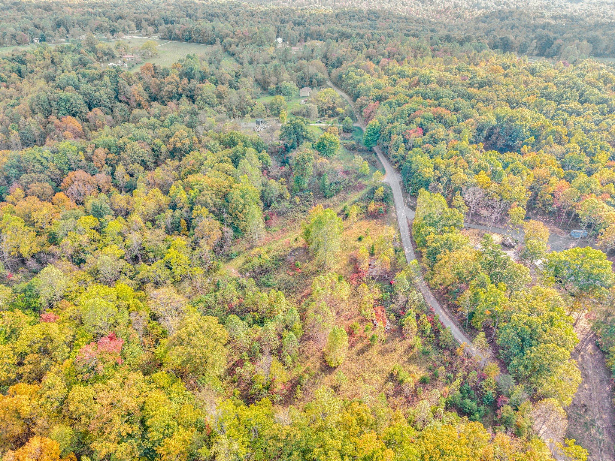 202 Sells Cemetery Road Wilder, TN 38589 - Photo 3 of 10 a view of a yard with a tree
