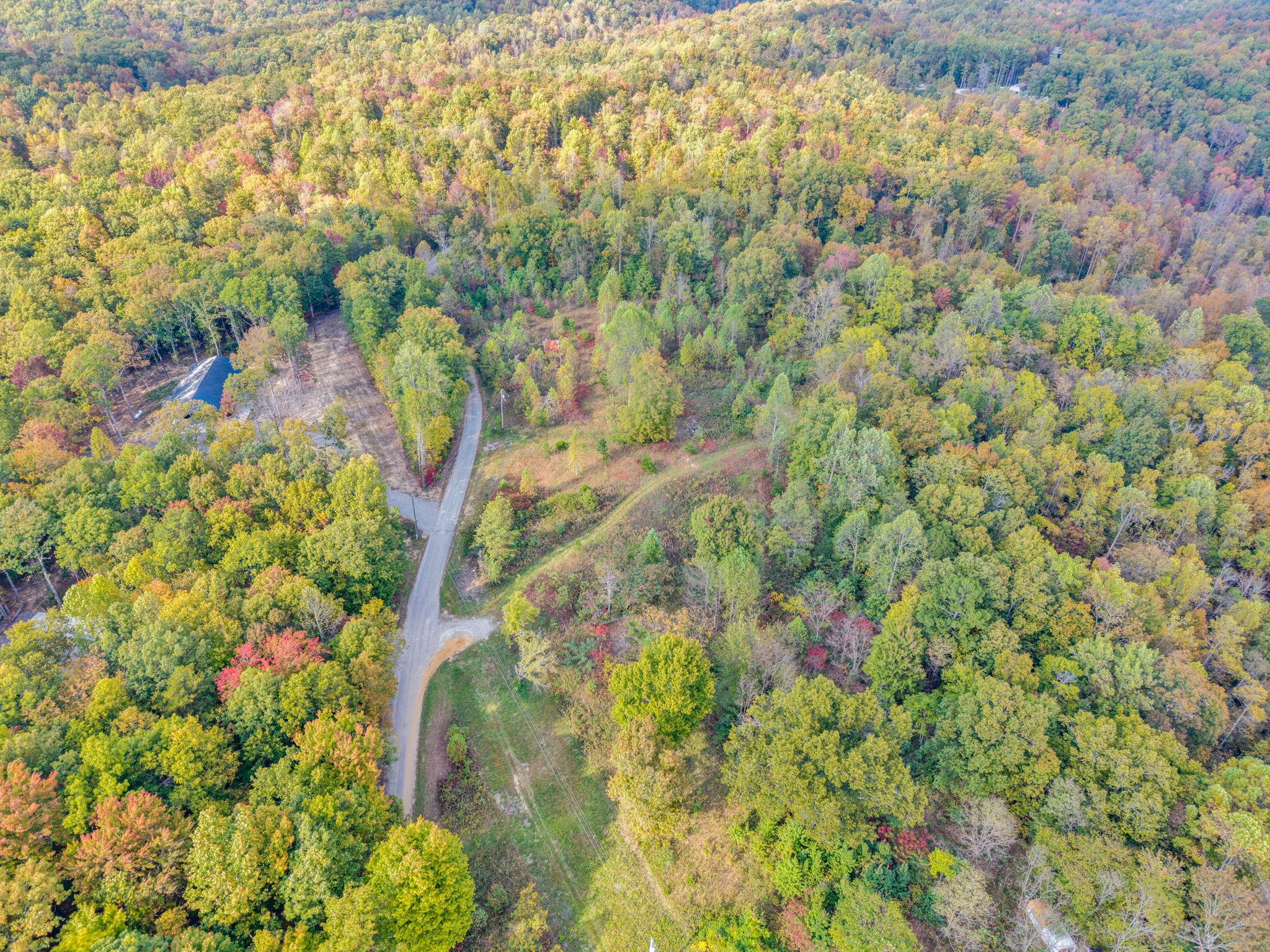 202 Sells Cemetery Road Wilder, TN 38589 - Photo 4 of 10