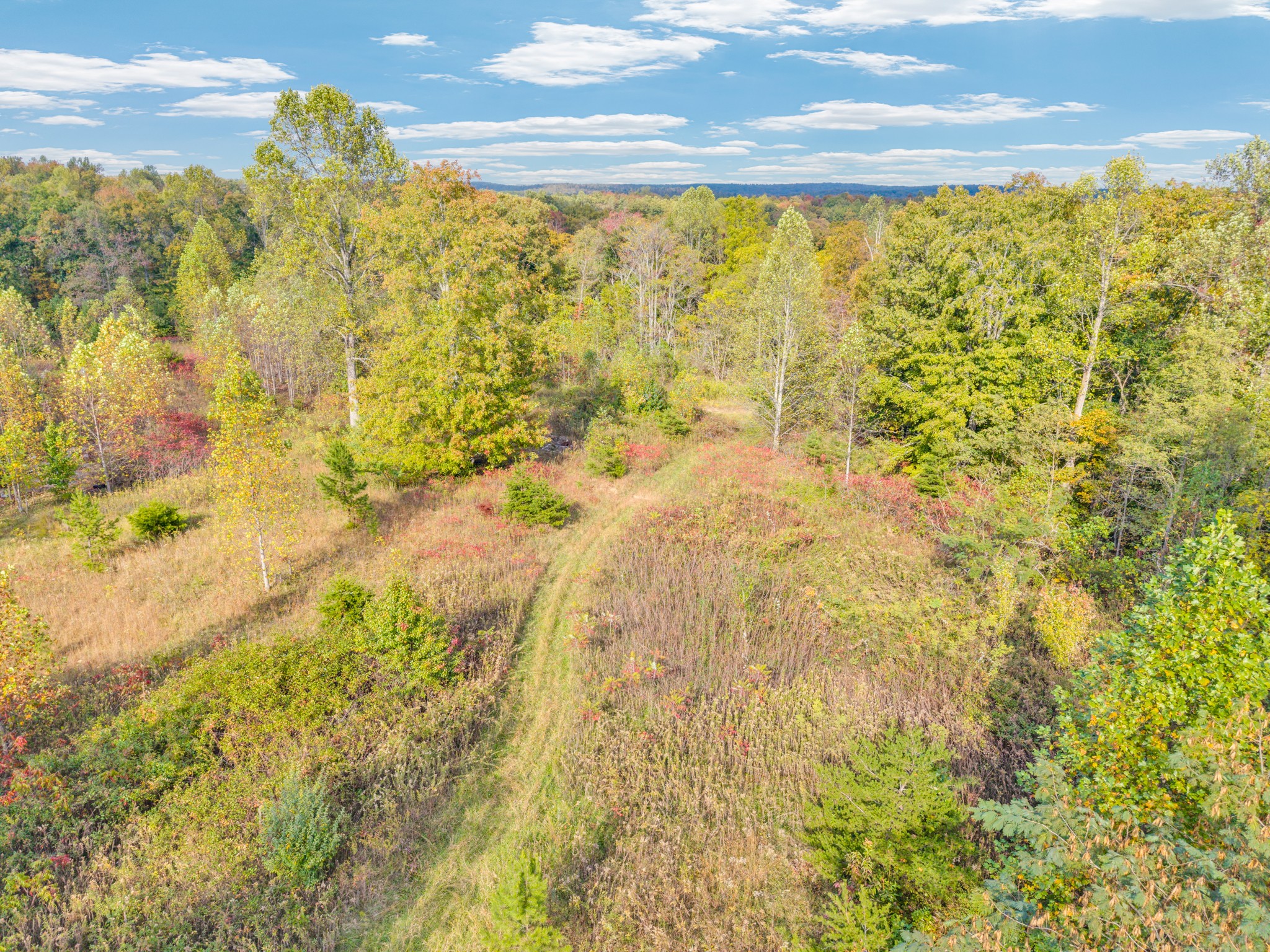 202 Sells Cemetery Road Wilder, TN 38589 - Photo 9 of 10